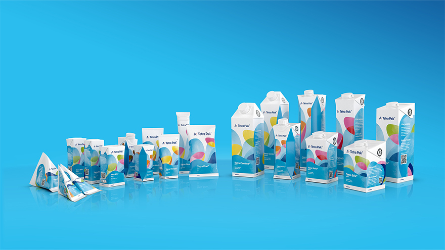 Package Portfolio Design Family Portion
